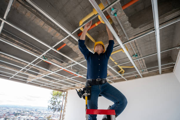 Best 24-Hour Plumber Near Me  in Linden, MI
