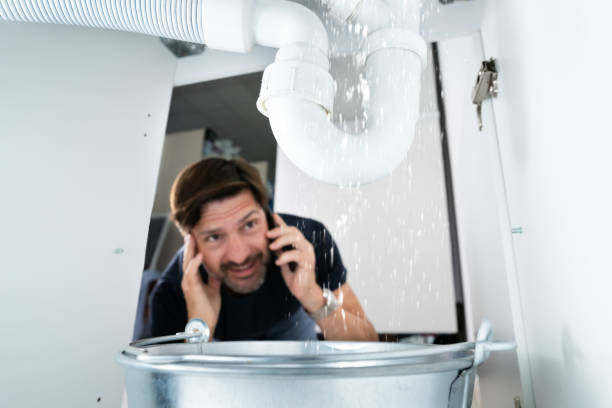 Best Affordable Plumbing Services  in Linden, MI