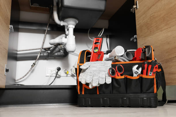 Best Emergency Plumber  in Linden, MI