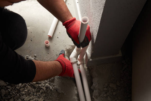 Best Clogged Drain Plumber  in Linden, MI