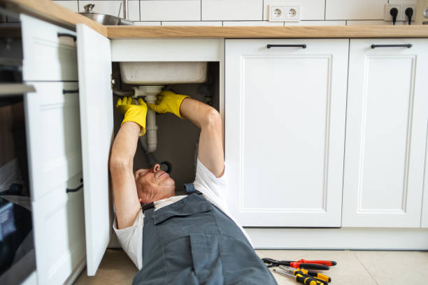 Best Plumbing Installation Services  in Linden, MI