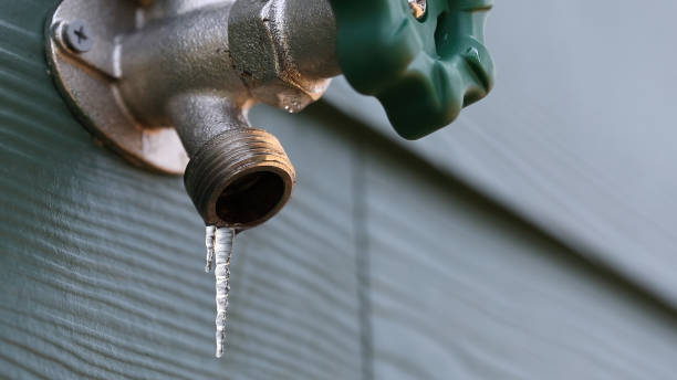 Best Local Plumber Services  in Linden, MI
