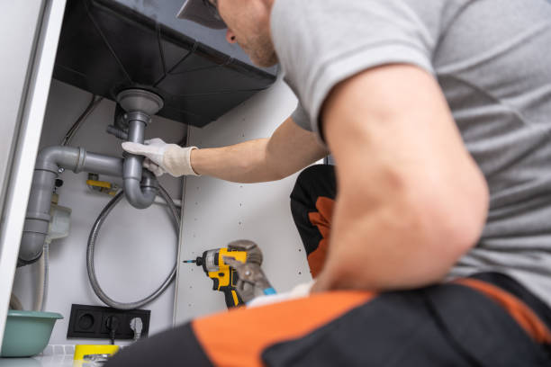 Best Same-Day Plumbing Service  in Linden, MI